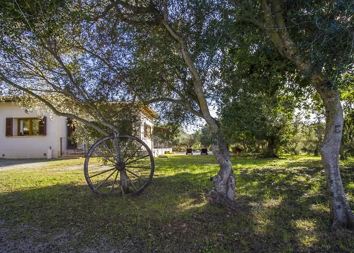 Finca Katia
