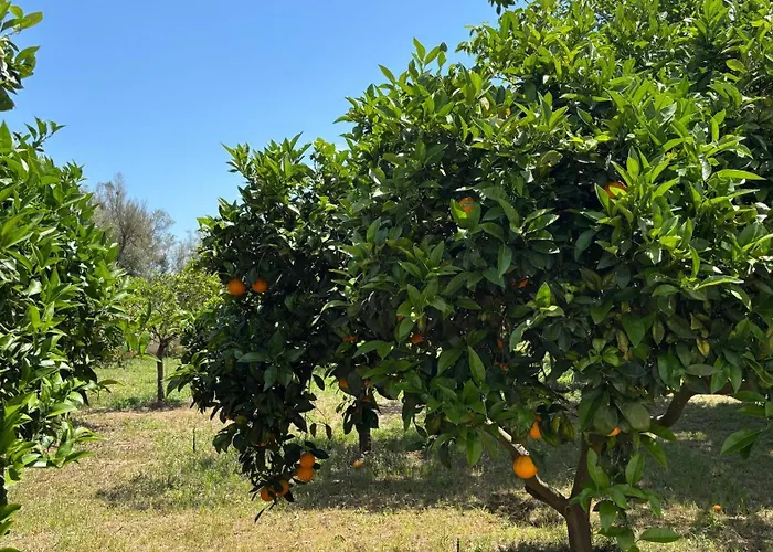 Finca Sa Cova De Mallorca